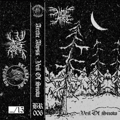 Arctic Abyss : Veil of Snow